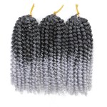 Codite de par Afro Marley de 20 cm 004 Ombre Crochet Braids Brunet-Gray Ombre Codite de par Afro Marley de 20 cm 004 Ombre Crochet Braids Brunet-Gray Ombre
